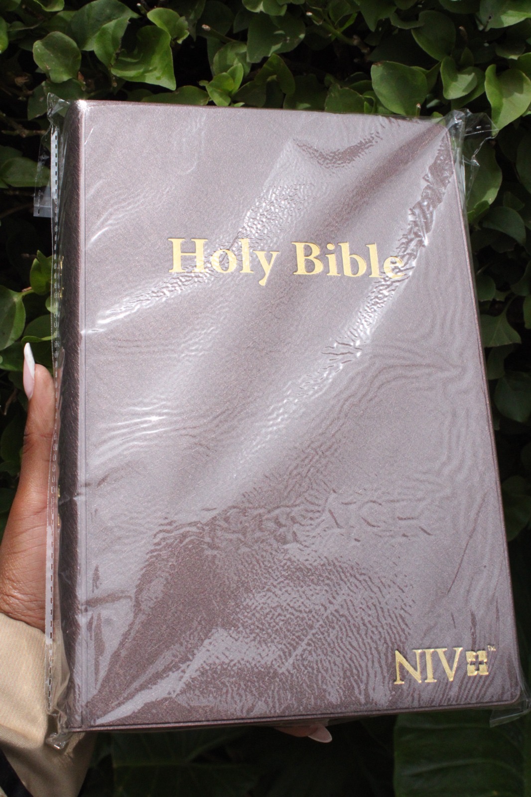 Holy Bible
