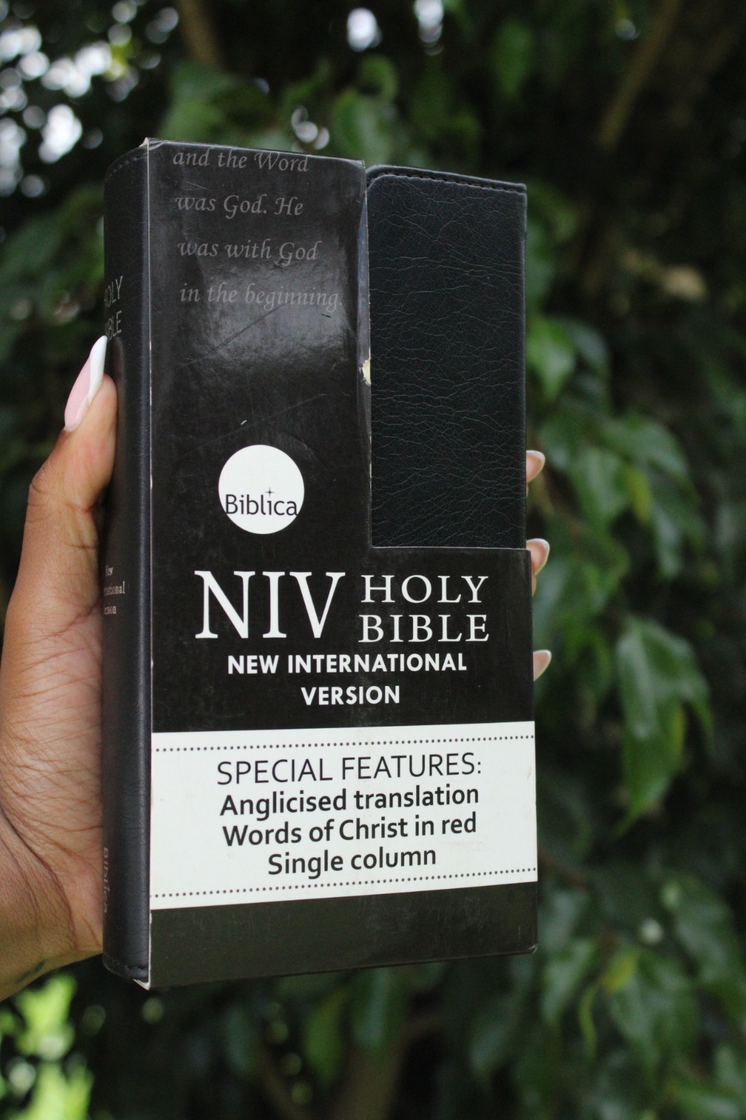 The Holy Bible-NIV