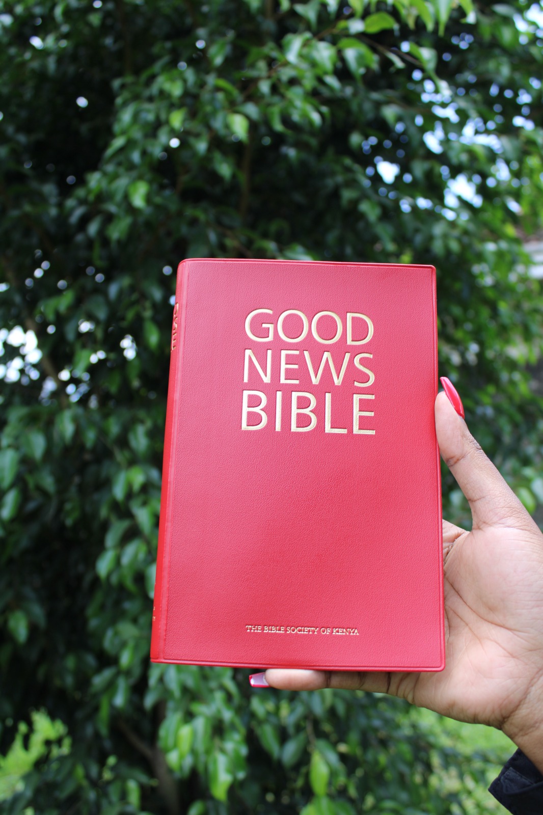 Good News Bible