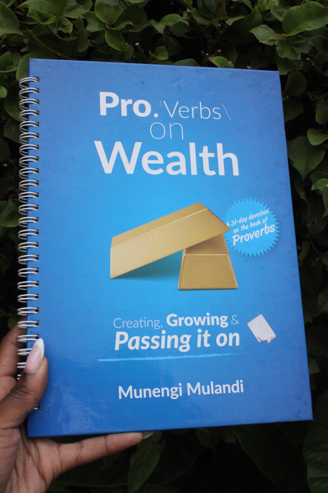 Proverbs On Wealth