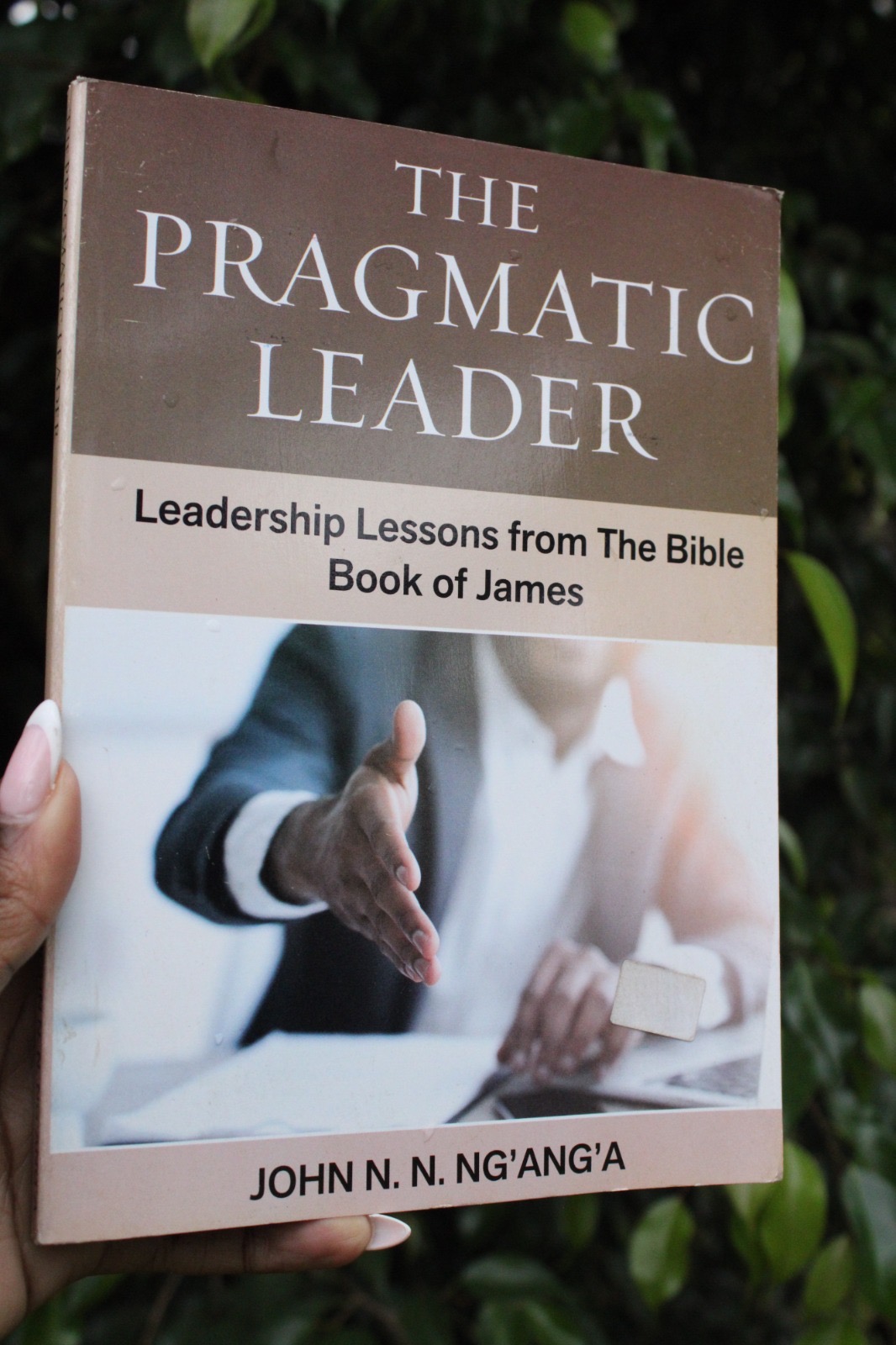 The Pragmatic Leader.