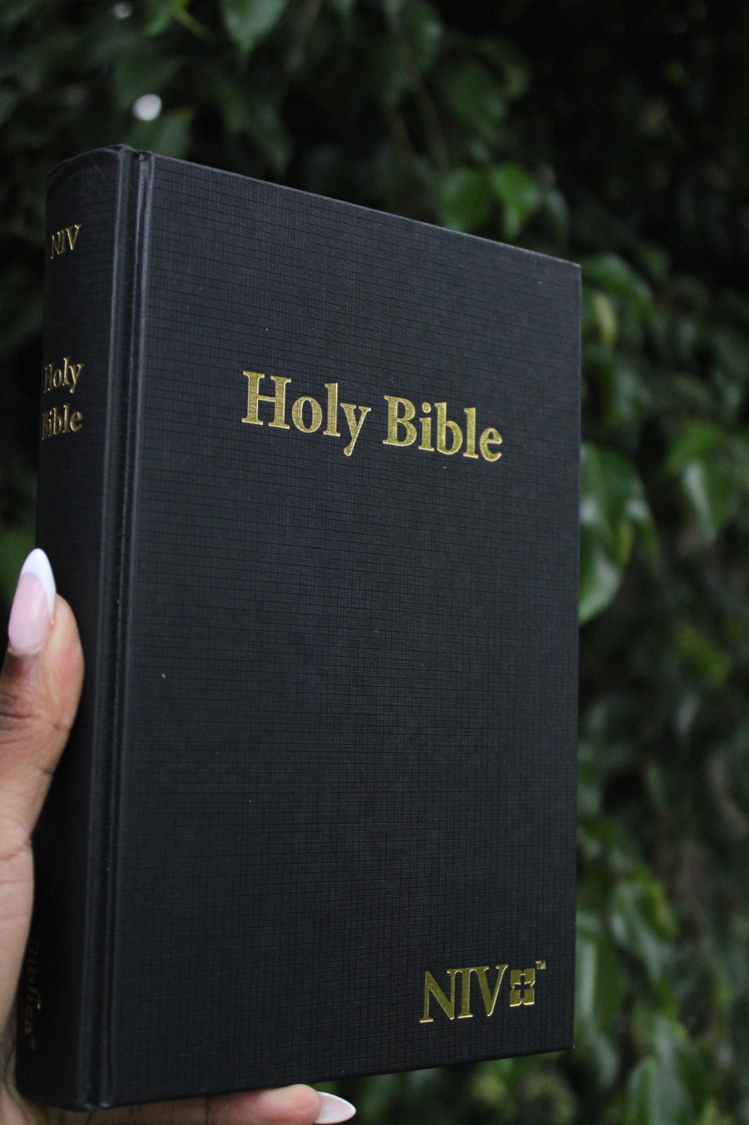 Holy Bible- NIV