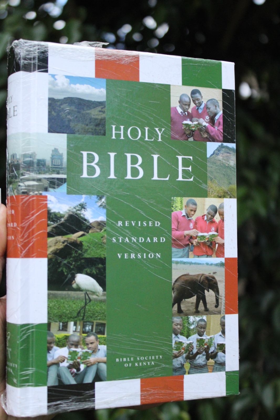 Holy Bible- RSV