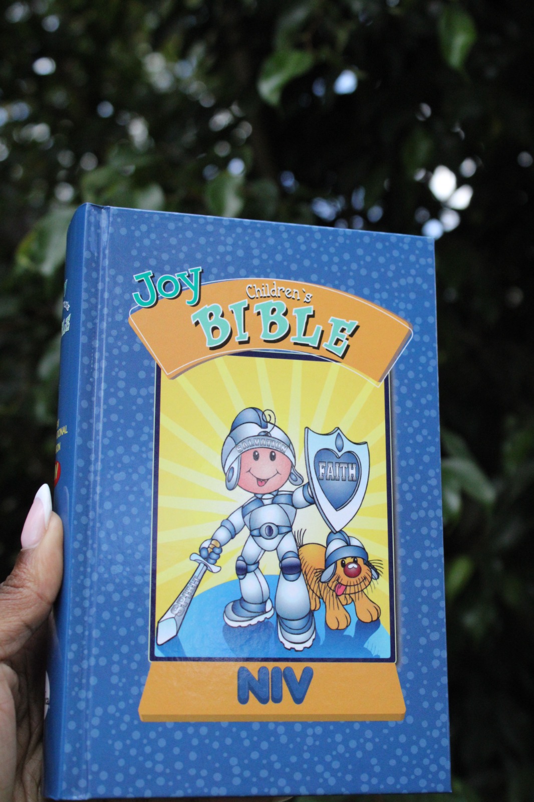 The Joy Children's Bible