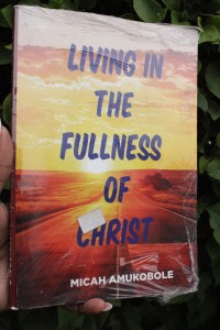 Living in the fullness of Christ