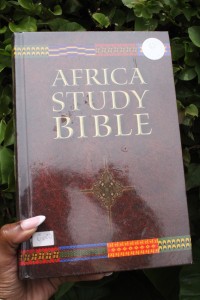 Africa Study Bible