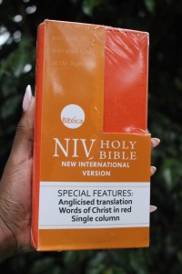 The Holy Bile-NIV
