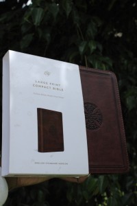 Large Print Compact Bible