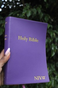 Holy Bible- NIV