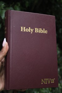 Holy Bible- NIV