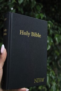 Holy Bible- NIV