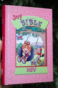 The Joy Children's Bible