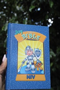 The Joy Children's Bible